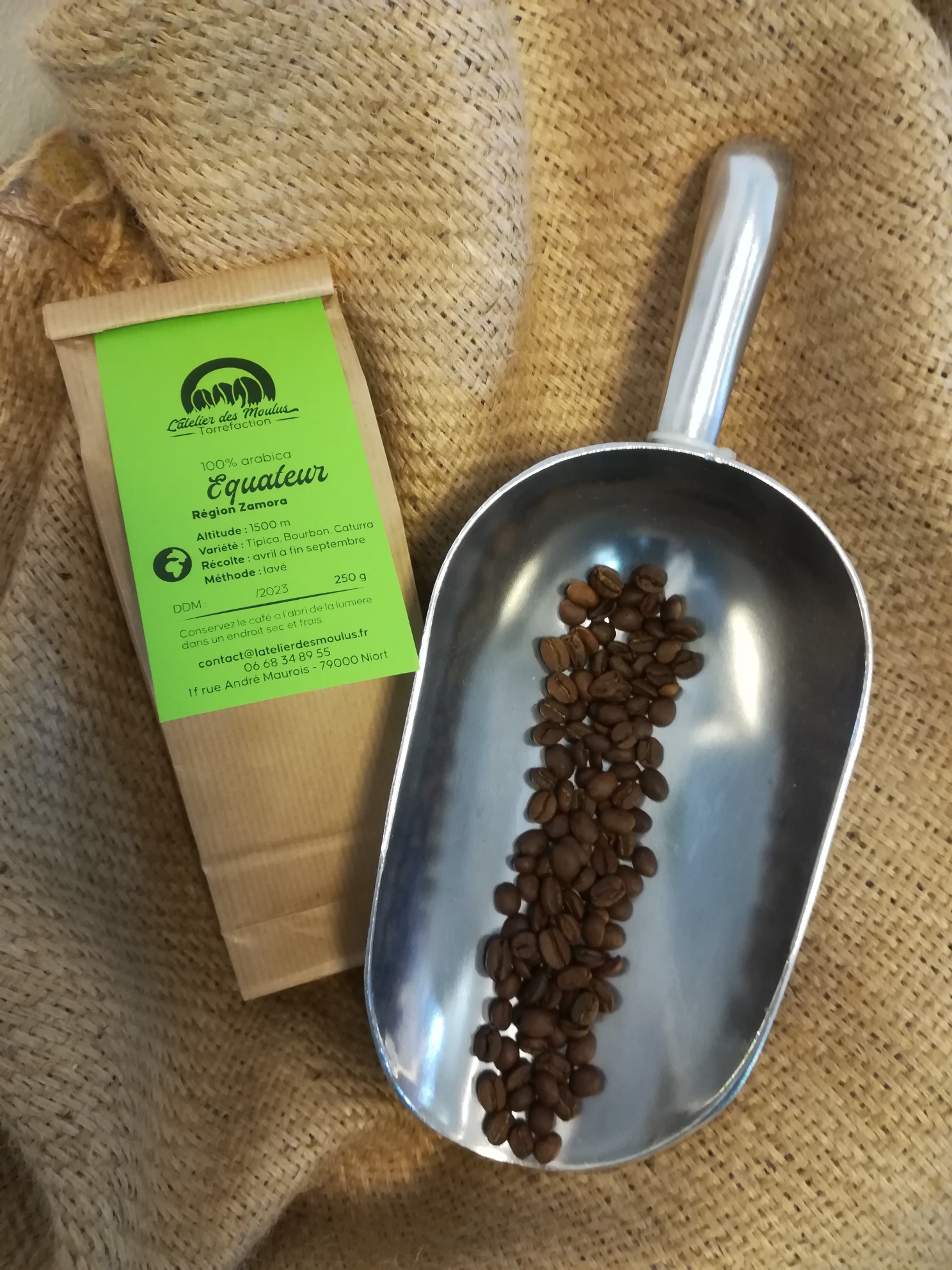 Café d'Équateur - Le corpulentr de l'atelier des moulus