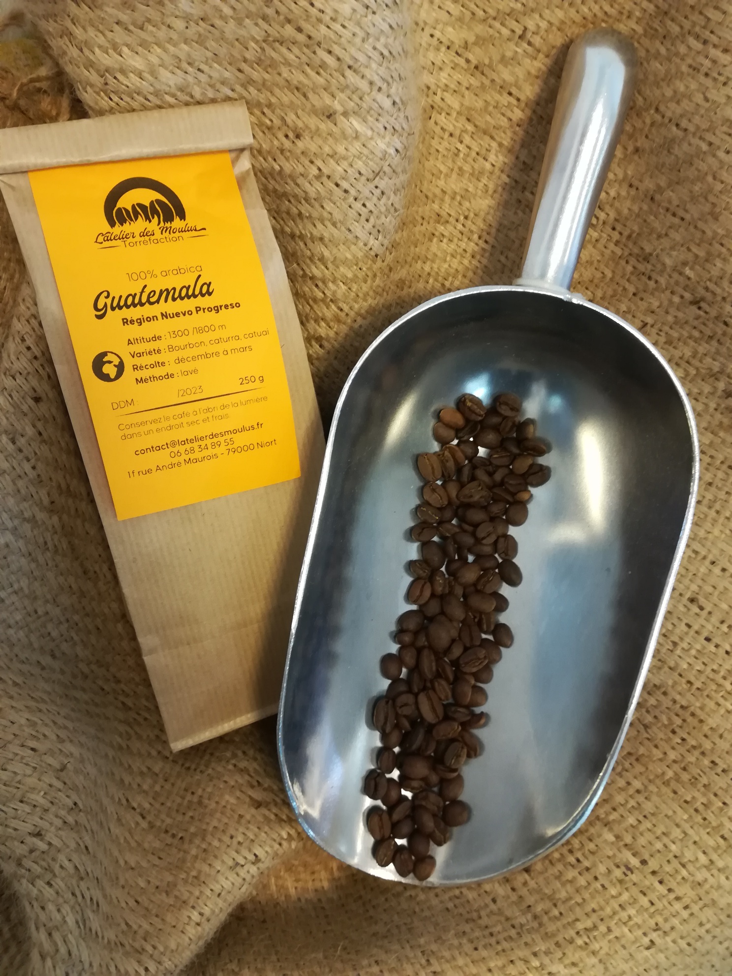 Café du Guatemala - L'intense de l'atelier des moulus